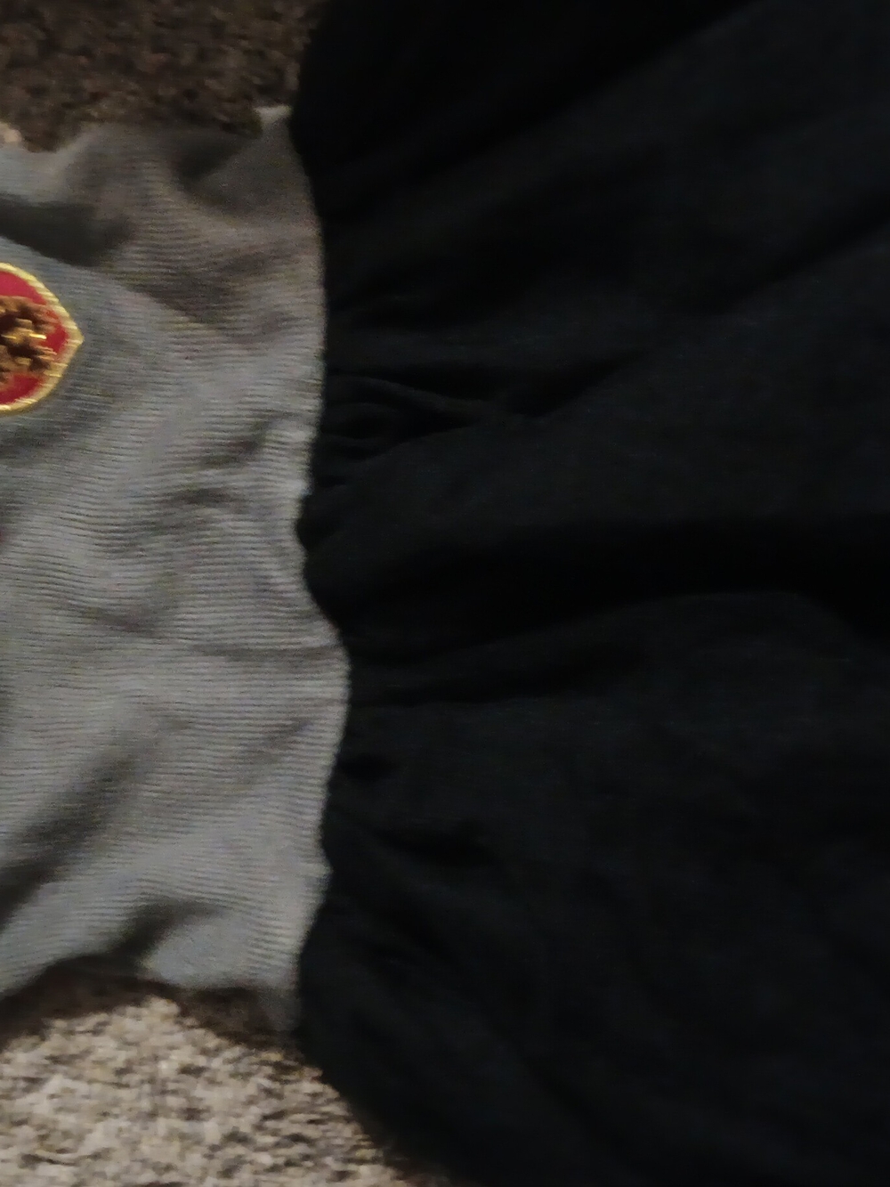 Kids Black and Gray Jacket with Crest